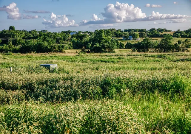 Photo 3 of Land for sale at Tract 3 Pleasant Hl School Rd, Brenham, TX 77833 | MLS# 52434405 | Listing updated on 2026-06-13