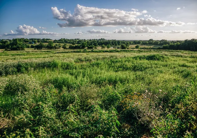 Photo 4 of Land for sale at Tract 3 Pleasant Hl School Rd, Brenham, TX 77833 | MLS# 52434405 | Listing updated on 2026-06-13