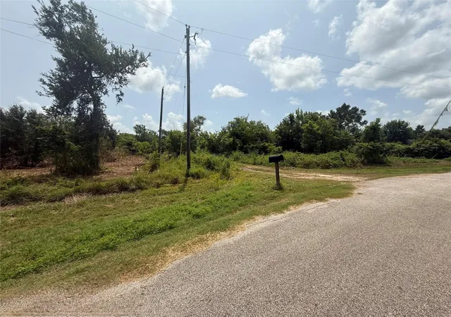 1st image of 4337 County Road 659a, Brazoria, TX 77422 | MLS# 88973248