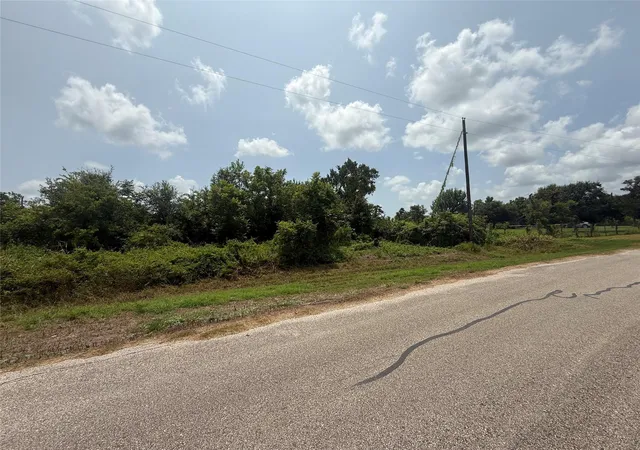 2nd image of 4337 County Road 659a, Brazoria, TX 77422 | MLS# 88973248