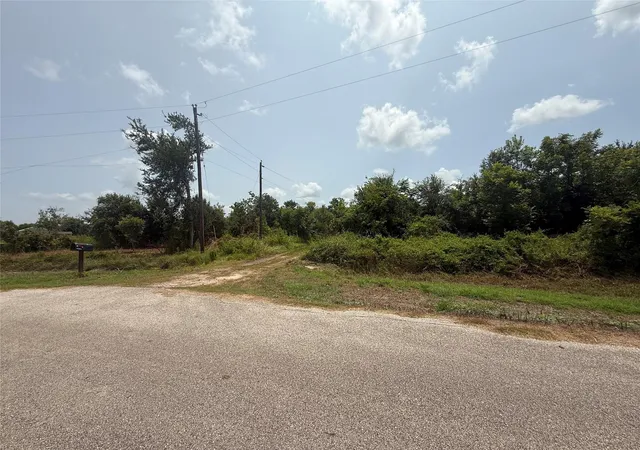 Photo 3 of Land for sale at 4337 County Rd 659a, Brazoria, TX 77422 | MLS# 88973248 | Listing updated on 2026-08-20