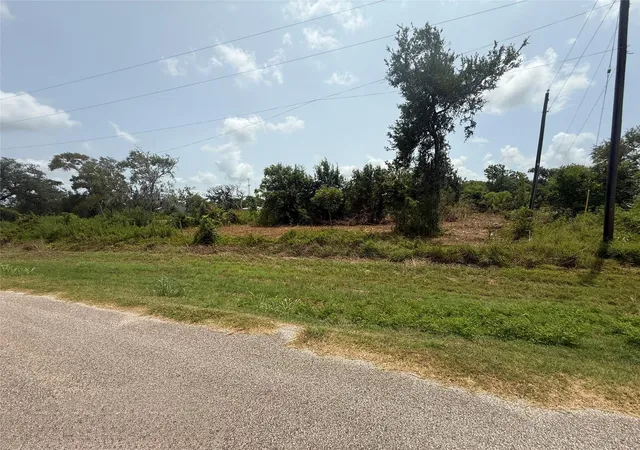 Photo 3 of Land for sale at 4337 County Rd 659a, Brazoria, TX 77422 | MLS# 88973248 | Listing updated on 2026-08-20