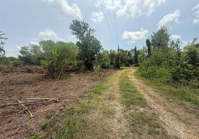 Photo 4 of Land for sale at 4337 County Rd 659a, Brazoria, TX 77422 | MLS# 88973248 | Listing updated on 2026-08-20