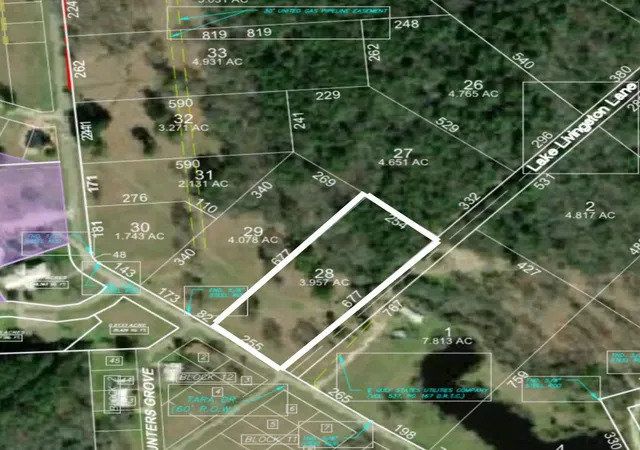 Photo 1 of Land for sale at Lot 28 Lake Livingston Ln, Trinity, TX 75862 | MLS# 65827883 | Listing updated on 2025-11-07
