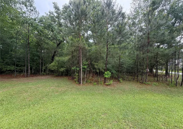1st image of Tbd Agassi Ct, Magnolia, TX 77354 | MLS# 75584935