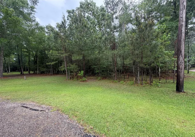 2nd image of Tbd Agassi Ct, Magnolia, TX 77354 | MLS# 75584935