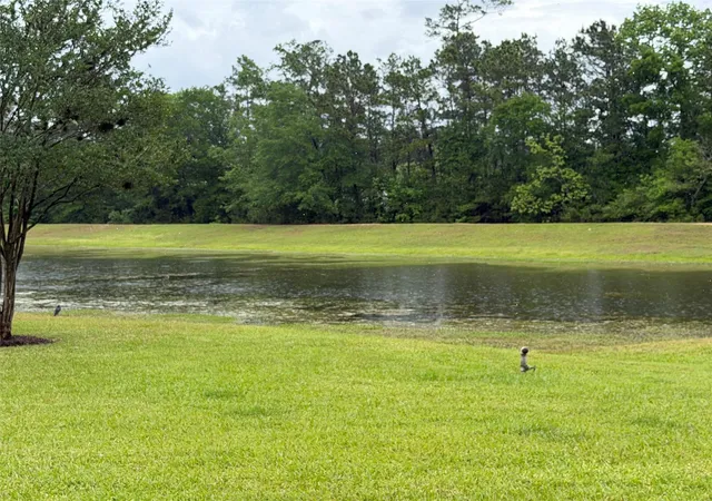 7th image of Tbd Agassi Ct, Magnolia, TX 77354 | MLS# 75584935