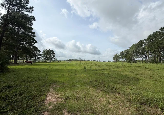 Photo 1 of Land for sale at 6779 County Rd 215, Anderson, TX 77830 | MLS# 31149760 | Listing updated on 2026-06-24