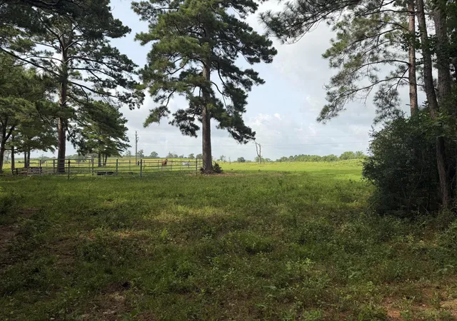 Photo 2 of Land for sale at 6779 County Rd 215, Anderson, TX 77830 | MLS# 31149760 | Listing updated on 2026-06-24