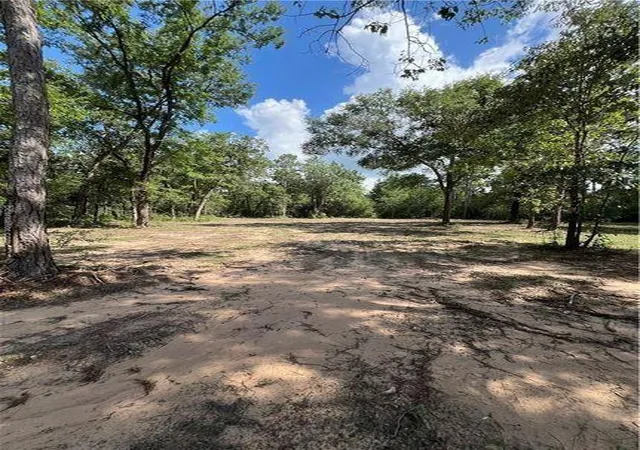 Photo 3 of Land for sale at 6779 County Rd 215, Anderson, TX 77830 | MLS# 31149760 | Listing updated on 2026-06-24