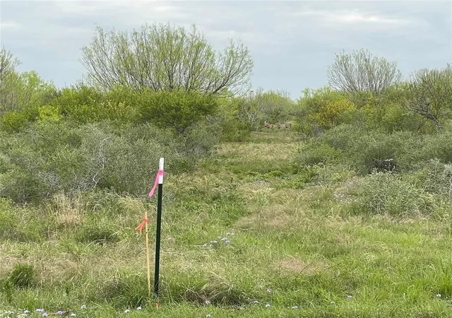 4th image of Lot 32 Pr Frio Estates Dr, Moore, TX 78057 | MLS# 45072300