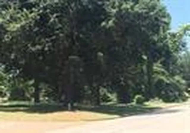 14th image of 0 Tx 159 13th, Hempstead, TX 77445 | MLS# 53339247