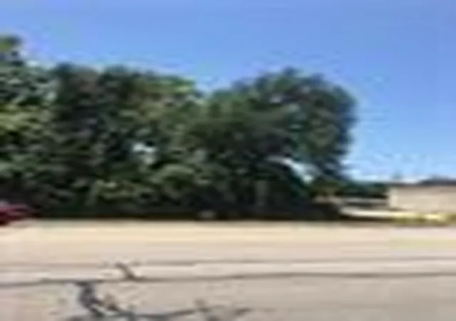 3rd image of 0 Tx-159 13Th, Hempstead, TX 77445 | MLS# 53339247