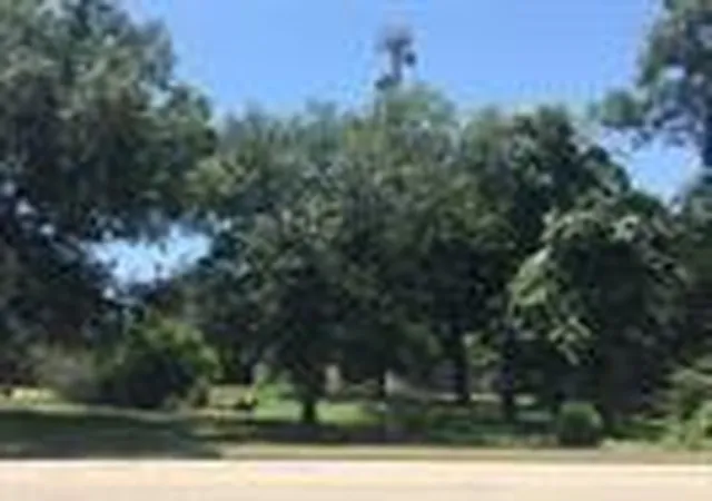 5th image of 0 Tx-159 13Th, Hempstead, TX 77445 | MLS# 53339247