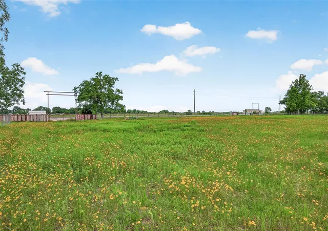 39th image of 0 Fm 1994, Guy, TX 77444 | MLS# 92536210