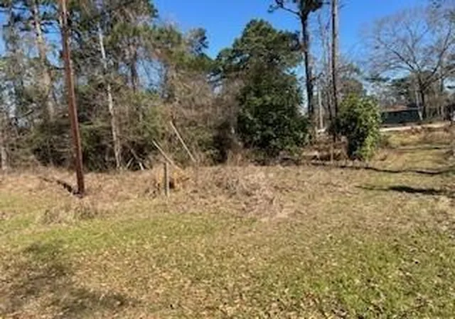 Photo 2 of Land for sale at 171 Cherry Tree, Livingston, TX 77351 | MLS# 3039245 | Listing updated on 2026-09-12