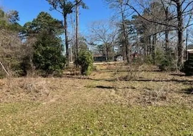 Photo 3 of Land for sale at 171 Cherry Tree, Livingston, TX 77351 | MLS# 3039245 | Listing updated on 2026-09-12