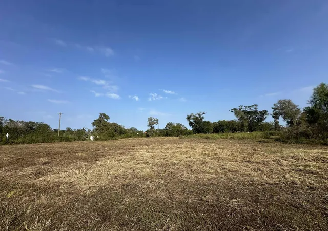 2nd image of 00 Cr 244, Brazoria, TX 77422 | MLS# 26799456