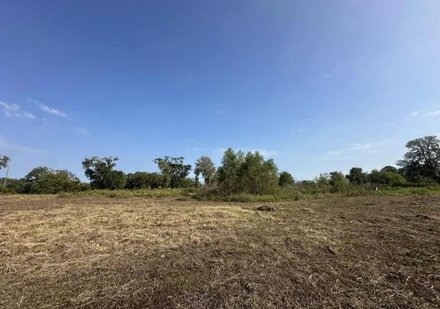3rd image of 00 Cr-244, Brazoria, TX 77422 | MLS# 26799456