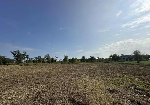 4th image of 00 Cr-244, Brazoria, TX 77422 | MLS# 26799456