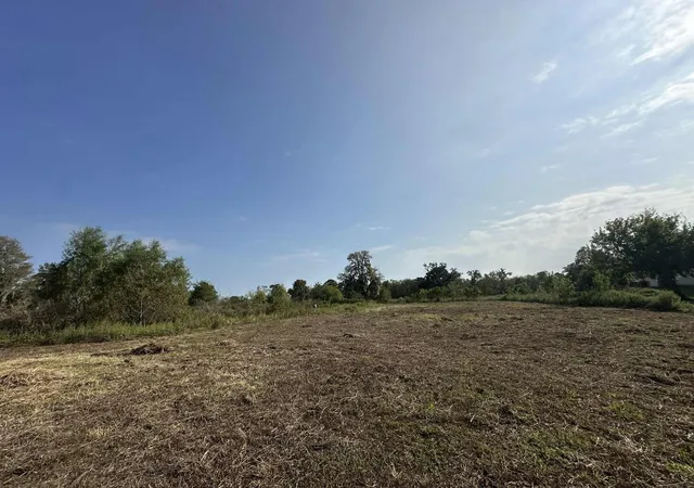 5th image of 00 Cr-244, Brazoria, TX 77422 | MLS# 26799456