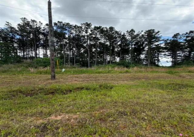Photo 3 of Land for sale at 1178 Road 5913, Cleveland, TX 77327 | MLS# 93357470 | Listing updated on 2026-05-19