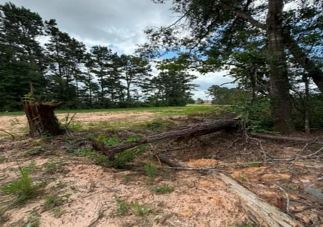 Photo 3 of Land for sale at 1178 Road 5913, Cleveland, TX 77327 | MLS# 93357470 | Listing updated on 2026-05-19