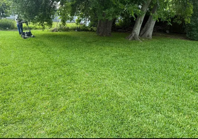 Photo 2 of Land for sale at 1409 Bringhurst St, Houston, TX 77020 | MLS# 76757487 | Listing updated on 2026-06-05