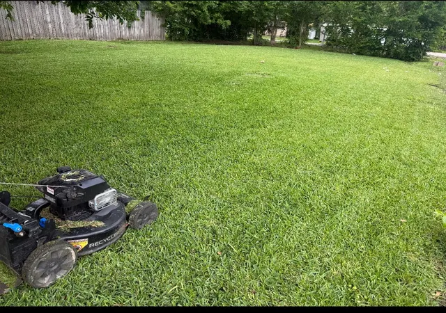 Photo 3 of Land for sale at 1409 Bringhurst St, Houston, TX 77020 | MLS# 76757487 | Listing updated on 2026-06-05