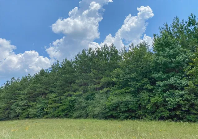 2nd image of 0 Us Hwy 59, Corrigan, TX 77351 | MLS# 44547466