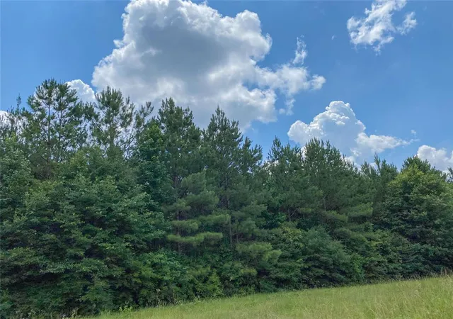 3rd image of 0 Us Hwy 59, Corrigan, TX 77351 | MLS# 44547466