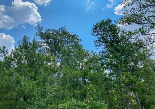 4th image of 0 Us Hwy 59, Corrigan, TX 77351 | MLS# 44547466