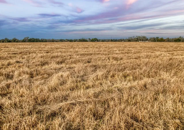 image of 10444 County Road 318, Caldwell, TX 77836 | MLS# 43630672