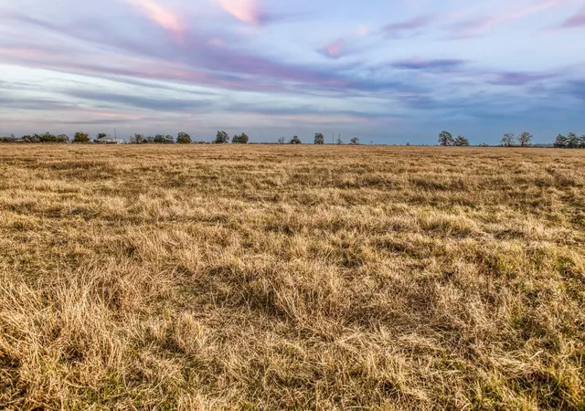 image of 10444 County Road 318, Caldwell, TX 77836 | MLS# 43630672