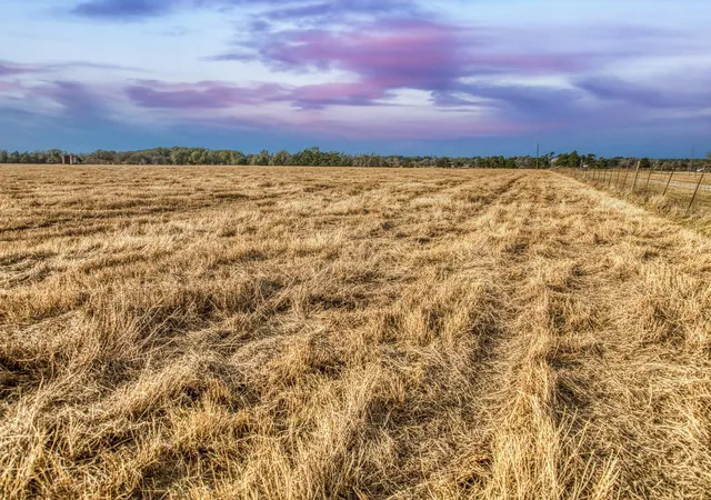 image of 10444 County Road 318, Caldwell, TX 77836 | MLS# 43630672