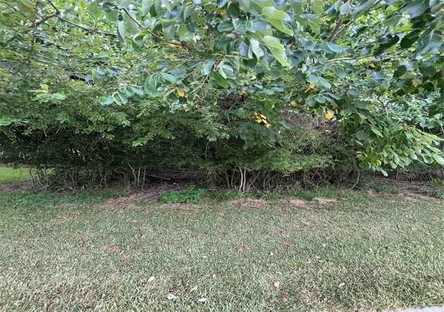 Photo 2 of Sale Pending at 12115 Hawthorne Dr, Montgomery, TX 77356 | MLS# 85230232 | Listing updated on 2026-08-27