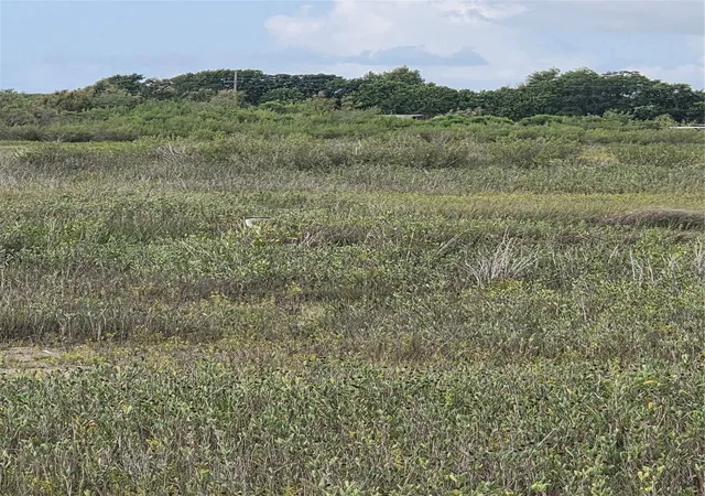 Photo 3 of Land for sale at 1419 Martinique Ln, Port Bolivar, TX 77650 | MLS# 4311230 | Listing updated on 2026-09-23