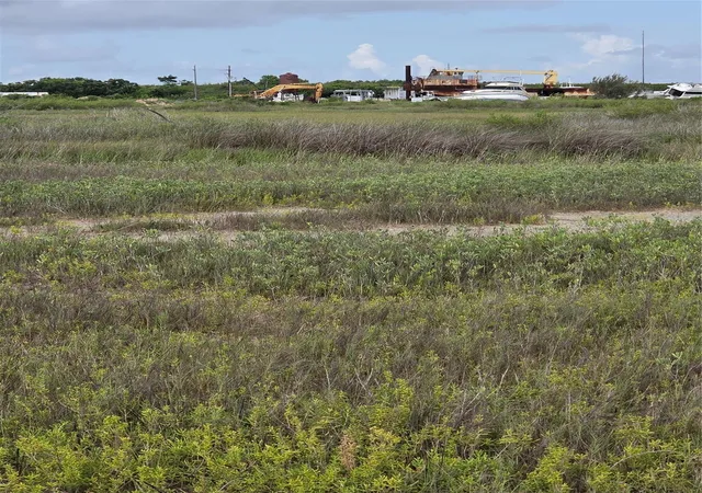 Photo 4 of Land for sale at 1419 Martinique Ln, Port Bolivar, TX 77650 | MLS# 4311230 | Listing updated on 2026-09-23