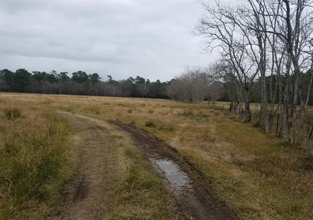 Photo 3 of Land for sale at 111 Moonshine Hill/Will Clayton Parkway Rd, Humble, TX 77338 | MLS# 9501899 | Listing updated on 2026-07-06