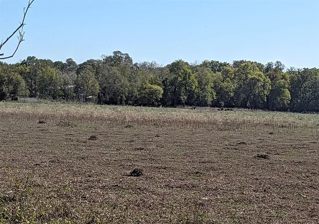 1st image of 0000 County Road 159, Wharton, TX 77488 | MLS# 61352702