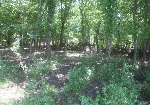 3rd image of 0000 County Road 159, Wharton, TX 77488 | MLS# 61352702