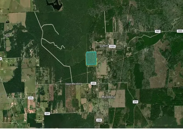 2nd image of 344 County Road 2294, Cleveland, TX 77327 | MLS# 91896859
