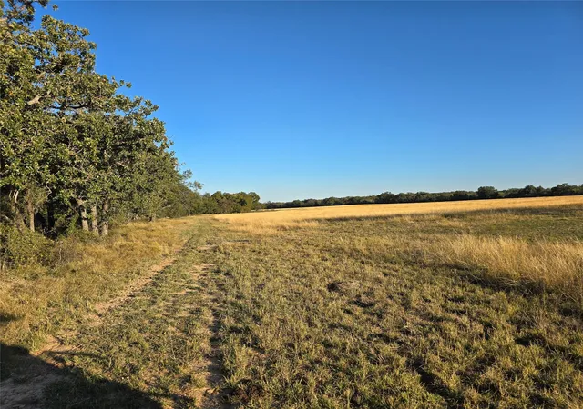 3rd image of 7202 Us Hwy 84, Coleman, TX 76834 | MLS# 95531490