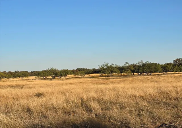 4th image of 7202 Us Hwy 84, Coleman, TX 76834 | MLS# 95531490