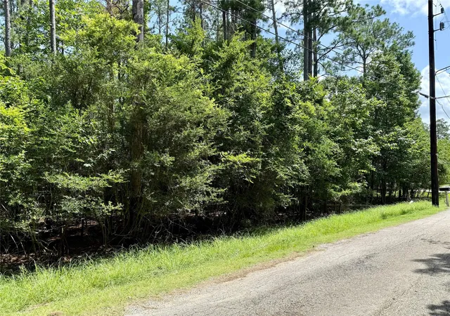 Photo 3 of Land for sale at 155 W Lake Dr, Huffman, TX 77336 | MLS# 32416506 | Listing updated on 2026-07-11