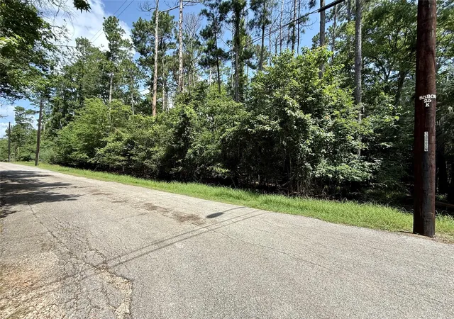 Photo 4 of Land for sale at 155 W Lake Dr, Huffman, TX 77336 | MLS# 32416506 | Listing updated on 2026-07-11