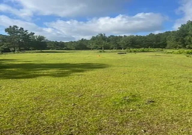 Photo 3 of Land for sale at 0 County Rd 4067, Bon Wier, TX 75928 | MLS# 60350305 | Listing updated on 2026-03-03