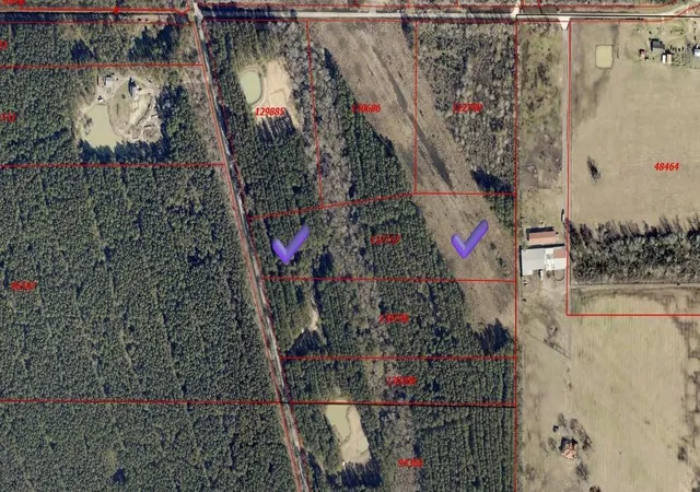 6th image of 401 Pelican Rd, Shepherd, TX 77371 | MLS# 87408346