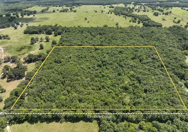 Photo 1 of Land for sale at Tbd Elmore Loop, Shepherd, TX 77371 | MLS# 61181896 | Listing updated on 2026-08-28