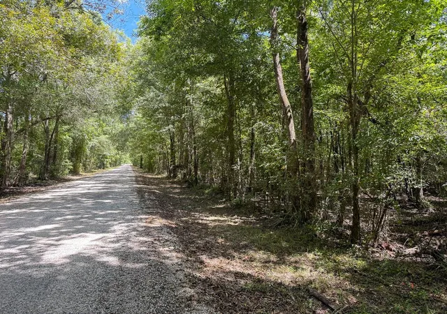 Photo 2 of Land for sale at Tbd Elmore Loop, Shepherd, TX 77371 | MLS# 61181896 | Listing updated on 2026-08-28